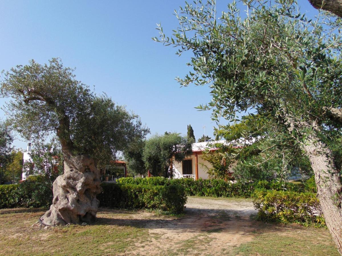 Agriturismo Villa Tommaso Torre dell'Orso Ngoại thất bức ảnh