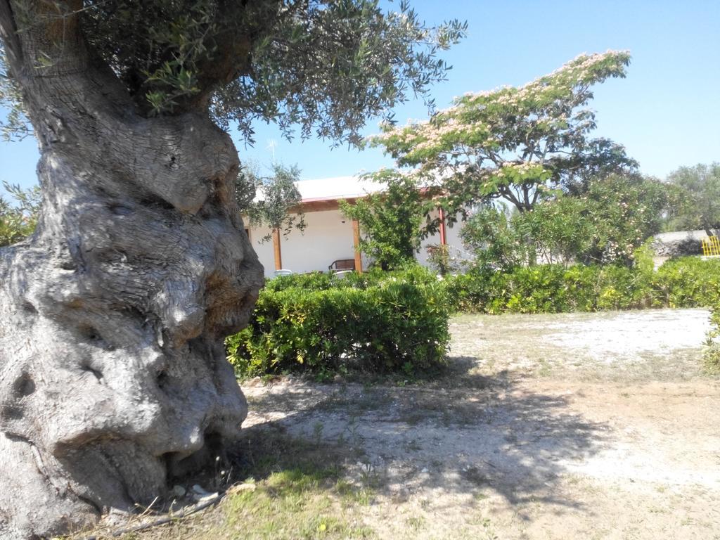 Agriturismo Villa Tommaso Torre dell'Orso Ngoại thất bức ảnh